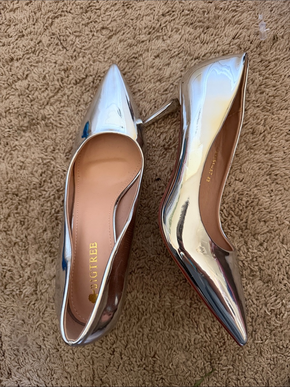 Metallic Silver Pointed-Toe Pumps - Women's